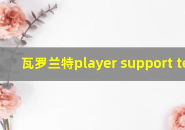 瓦罗兰特player support team